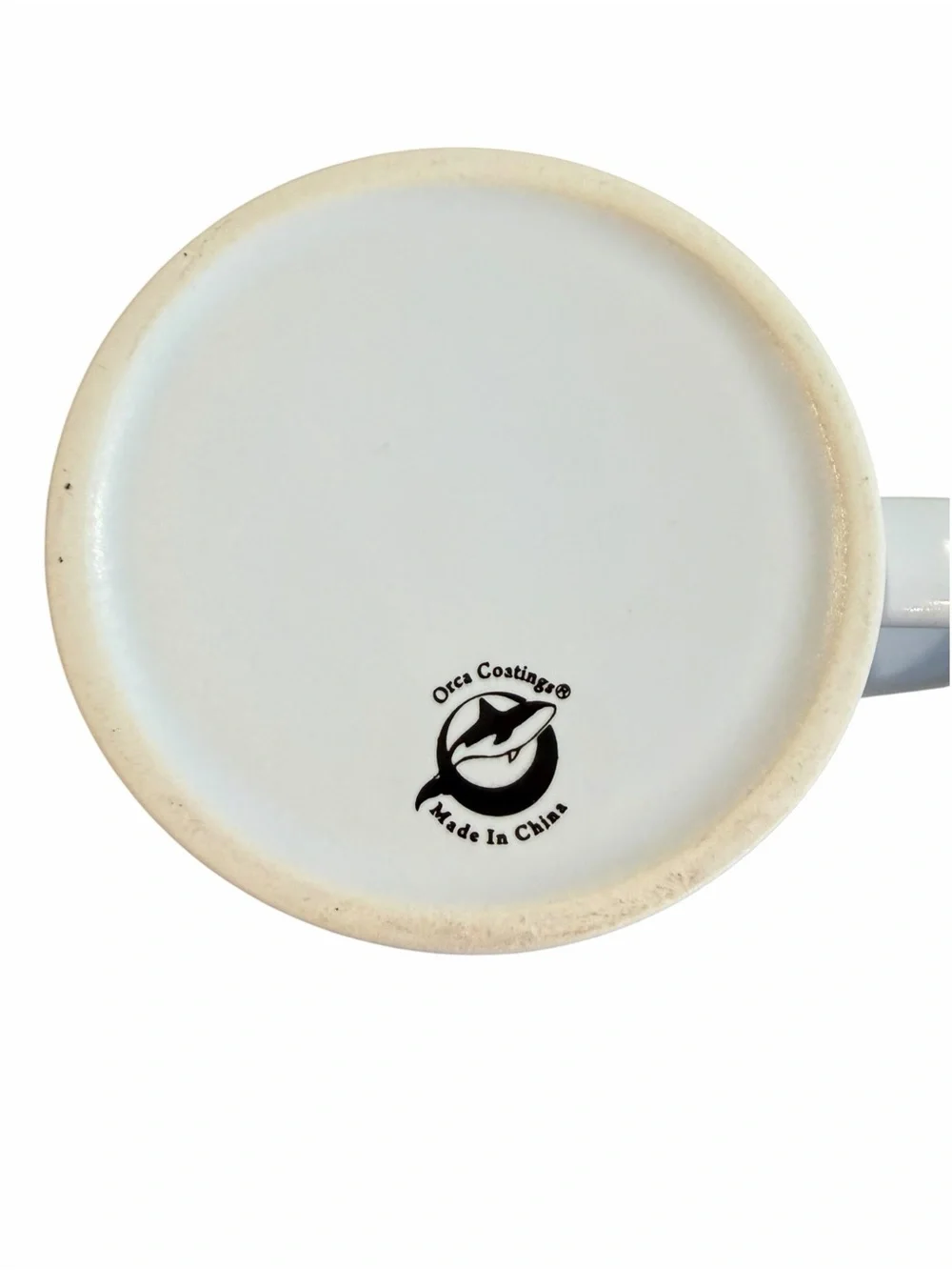 Phi Sigma Pi Delta Kappa Bone Appetite Skull Mug PSPDK Halloween Gothic